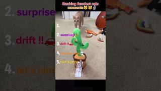 Ranking funniest cats lol😸🌚 #funny #cat #memes #shorts #funnyanimals