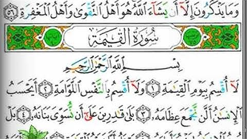 مصحف التجويد صفحة 577 إبراهيم الأخضر  🕋🌲