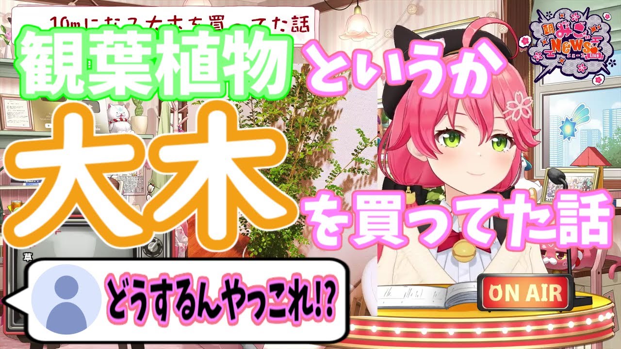 【ホロライブ/さくらみこ】観葉植物を買ったと思ってたら大木を買っていた