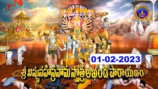 Sri Vishnu Sahasranama Akhandaparayanam || Tirumala || 01-02-2023 || SVBCTTD