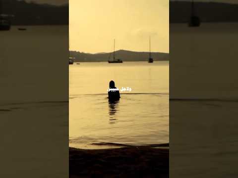 ولاجل حبيبي ياحبيبي بتتنط على رنة تلفونه حالات واتس اغاني اكسبلور