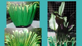 FLOWER POT CEMENT - How to make flower pot using old clotch/old Towel and cement. #CementFlowerPot