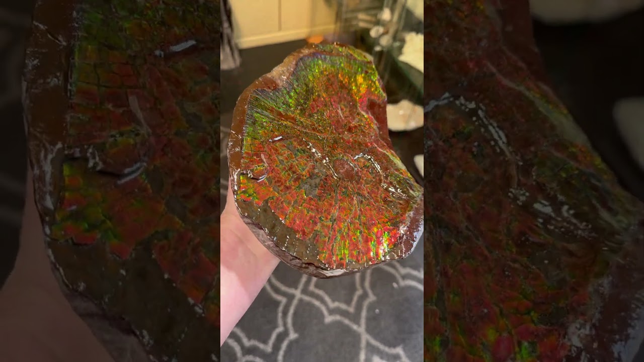 I just Finished this ammolite display