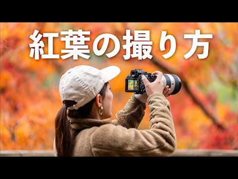 【写真教室】紅葉の綺麗な撮り方を見せちゃいます【in群馬県上野村】