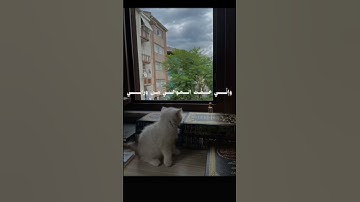 سوره مريم 🤍اكتب شيء تؤجر عليه 🤍😔