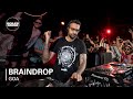 Braindrop  boiler room goa