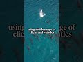 Dolphin Delight | A Viral Glimpse into the Ocean's Wonders #shorts
