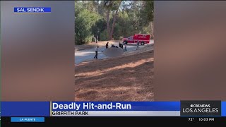 Search underway for driver who hit and killed a man in Griffith Park following dispute
