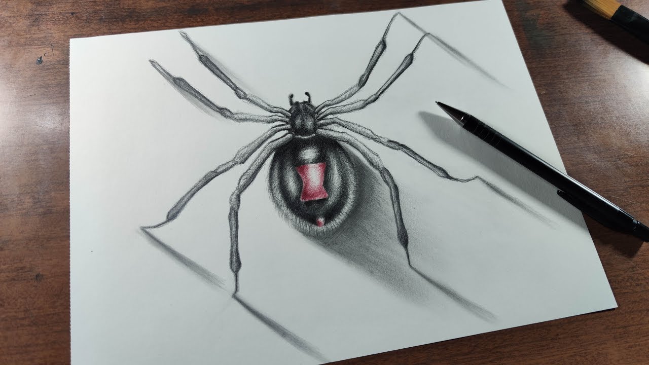 How To Draw A Black Widow Spider with Pencil Step by Step (Easy) - YouTube