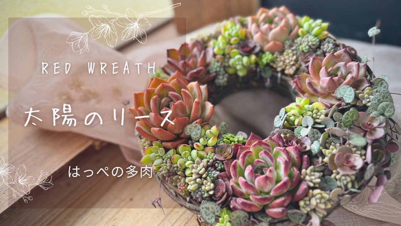 【太陽のリース】多肉植物　多肉植物寄せ植え　園芸　リース