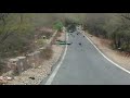 Beautiful Peacocks on the roadway