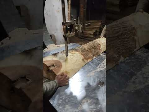wood-cutting-sawmill-#shorts-#sawmill-#shortsvideo