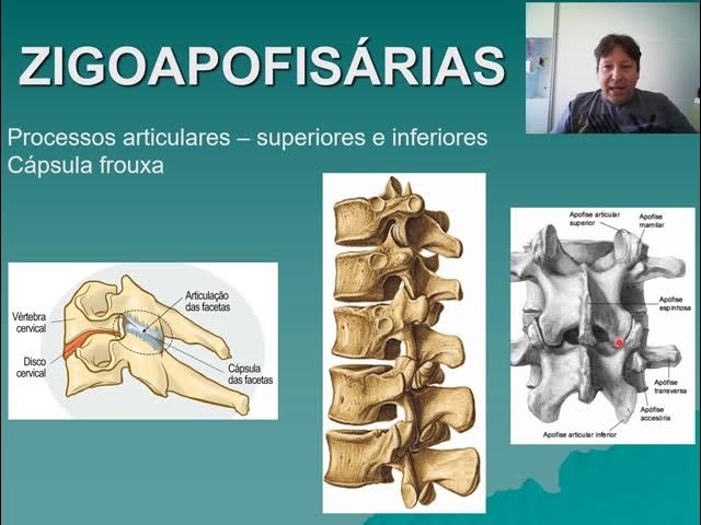 Entenda possíveis acidentes anatômicos da mandíbula