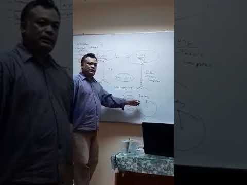 Video: Dasar-dasar Kosmologi Biblika - Pandangan Alternatif