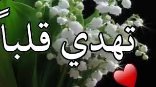 صباح الخير والتيسير اصبحنا واصبح الملك لله 🌷🌷🌷🌷🌷🌷