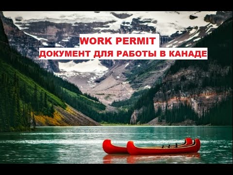 ПРО WORK PERMIT.