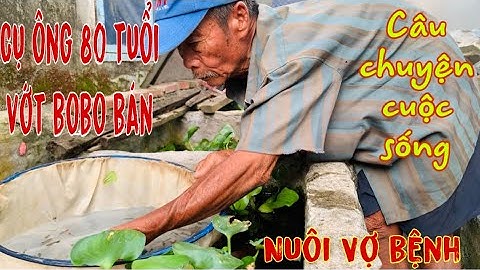 Xót xa Ông Cụ 80 tuổi bán cá 7 màu,BoBo nuôi Cụ Bà đang nằm viện-Thái Salem vê lốc