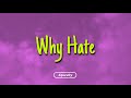 Taleban Dooda - Why Hate (Lyrics)