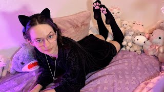 Cozy 🐾 Cat Cam 🐾 Stream