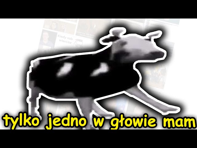 Tylko jedno głowie mam