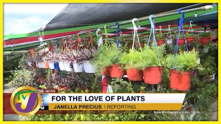 For the Love of Plants | TVJ Business Day Review