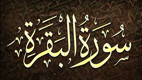 تلاوة خاشعة من سورة البقرة بصوت يريح القلب ويشرح الصدر ❤ استمع بخشوع وراحة نفسية ❤️