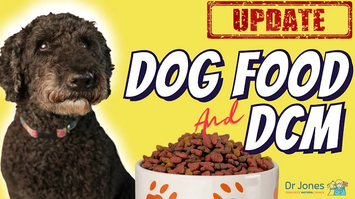 Dog Food and DCM UPDATE