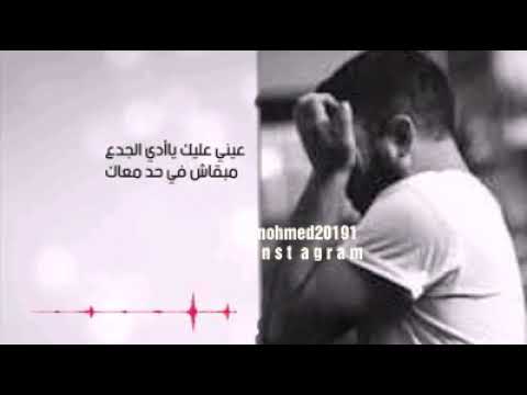 حلات وانس اب طارق الشيخ عيني عليك من مسلسل هوجان