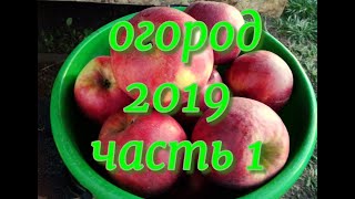 Огород 2019 г. часть 1: плодовые деревья и кустарники, ягоды и фрукты.