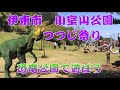 伊東市小室山公園つつじ祭り 恐竜公園で恐竜と遊ぼう 伊東市小室山公園つつじ祭り 恐竜公園で恐竜と遊ぼう