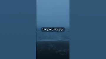 تلاوة هادئة من سورة الروم ( ويوم تقوم الساعة يومئذ يتفرقون ) القارئ عبدالرحمن الحمادي