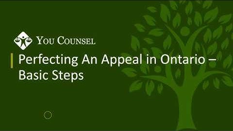 Perfecting an Appeal in Ontario - Basic Steps