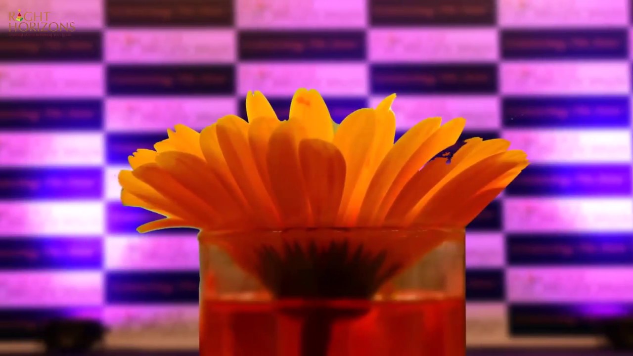 Right Horizons - 14th Anniversary Celebrations