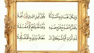 سورة فُصلت 65 (متن الشاطبية) مشاري العفاسي
