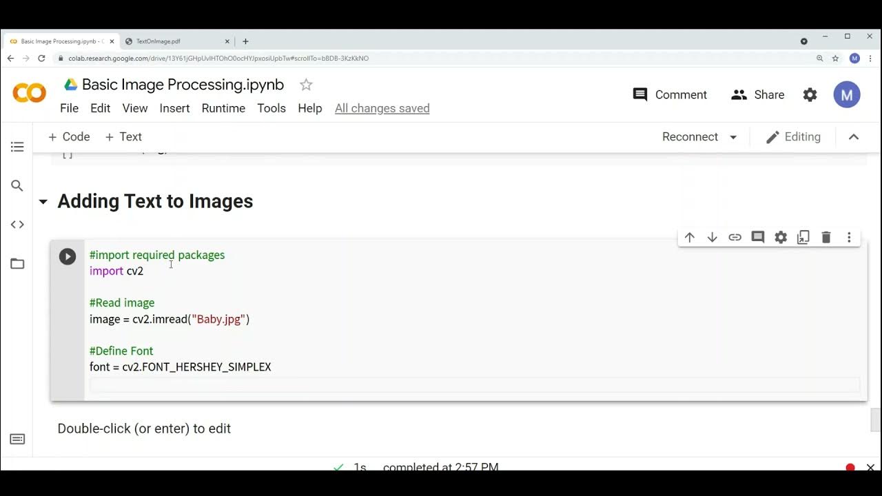 Basic Image Processing Using Python Tutorial 7 ( Adding Text to Image ...