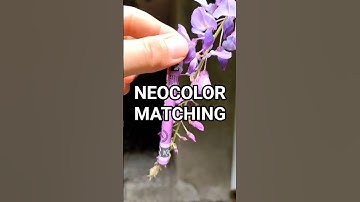 Matching Neocolor II with Leaves & Flowers | Grape, Wisteria & Rose - #carandache #art #inspiration