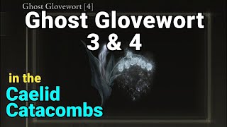 Ghost Glovewort 3 - Ghost Glovewort 4 - Caelid Catacombs - Elden Ring