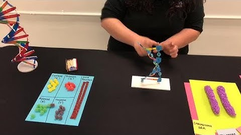 Virtual MOSI: Genetic Codes - Blackburn