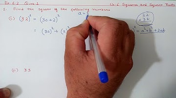 Ex.5.2 Q.1 Chapter:5 Squares And Square Roots | Ncert Maths Class 8 | Cbse