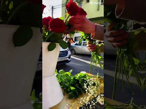 ورد ورود ازهار تنسيق اللوتس المخللاتى غزة فلسطين 