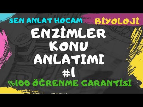 9. SINIF CANLILARIN TEMEL BİLEŞENLERİ KONU ANLATIMI 15  | ENZİMLER 1  | TYT BİYOLOJİ | ✅