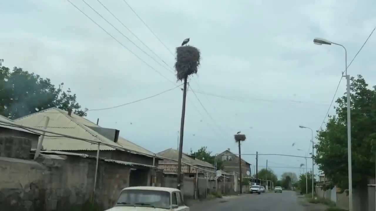 Армения село Аргаванд. Вот так спокойно аисты здесь живут