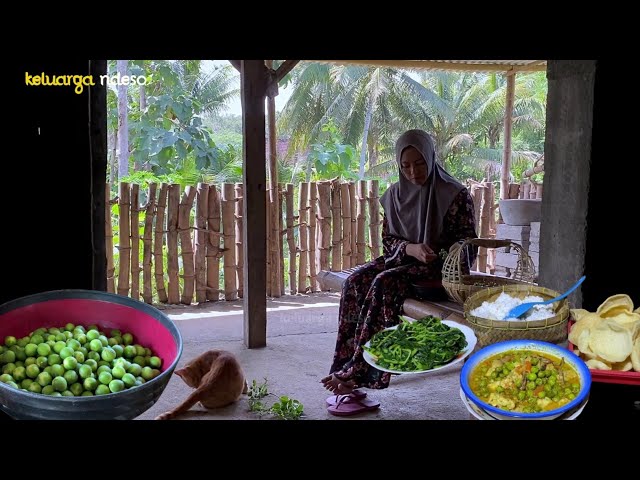 panen pokak, masak pokak teri tempe santan pedas, Kulub bayam, kerupuk bawang, masakan desa class=