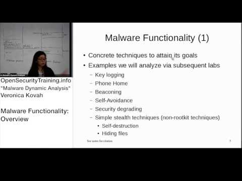 Dynamic Malware Analysis