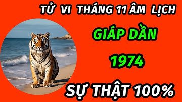 Tử vi trong tháng 11 âm lịch cho tuổi giáp dần 1974 bão lộc đổ về trúng mánh đổi đời giàu cực khủng 