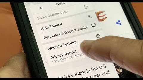 How to use website settings in Safari on iPhone 12