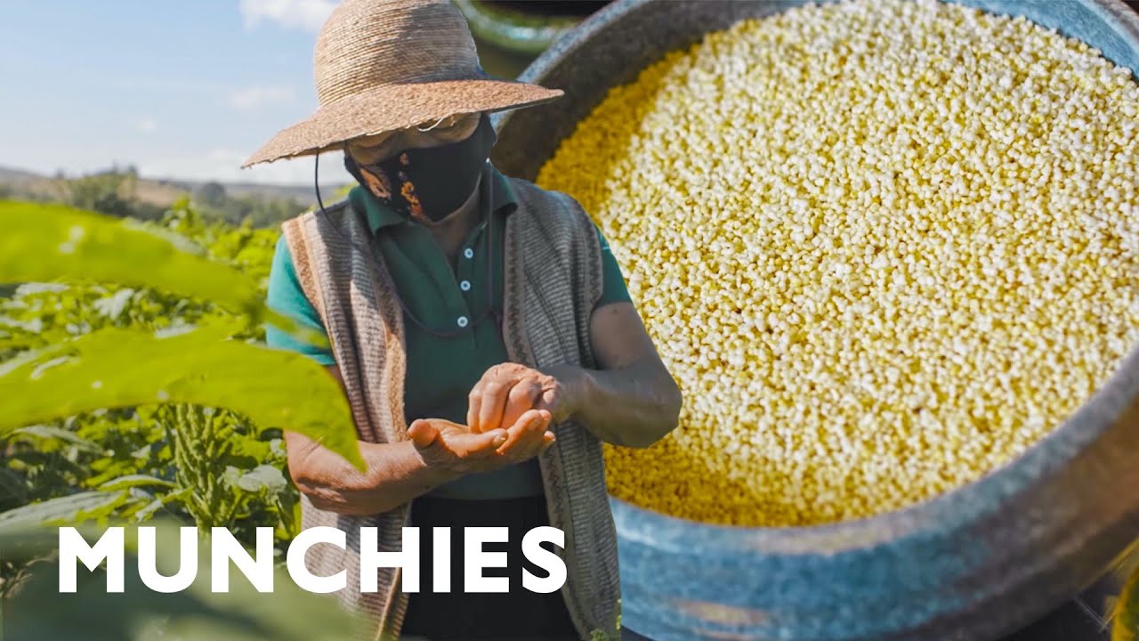 Using Mexico’s Most Ancient Grain: Amaranth | Munchies
