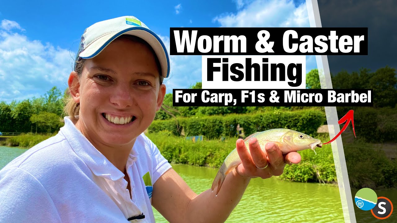 Worm Fishing for Carp and F1s in Summer YouTube