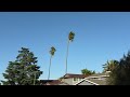 6 20pm April 16 2026 Gusty Windy NNW Winds Sunny 