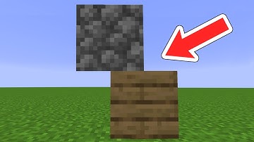 I Shapeshift to Cheat In Minecraft Hide And Seek!